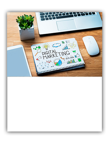 gallery/marketing digital