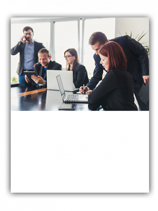 gallery/curss cortos